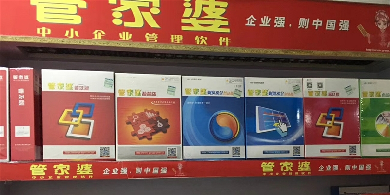 管家婆正版管家的全面解析，管家婆正版管家的全面解析与功能概览