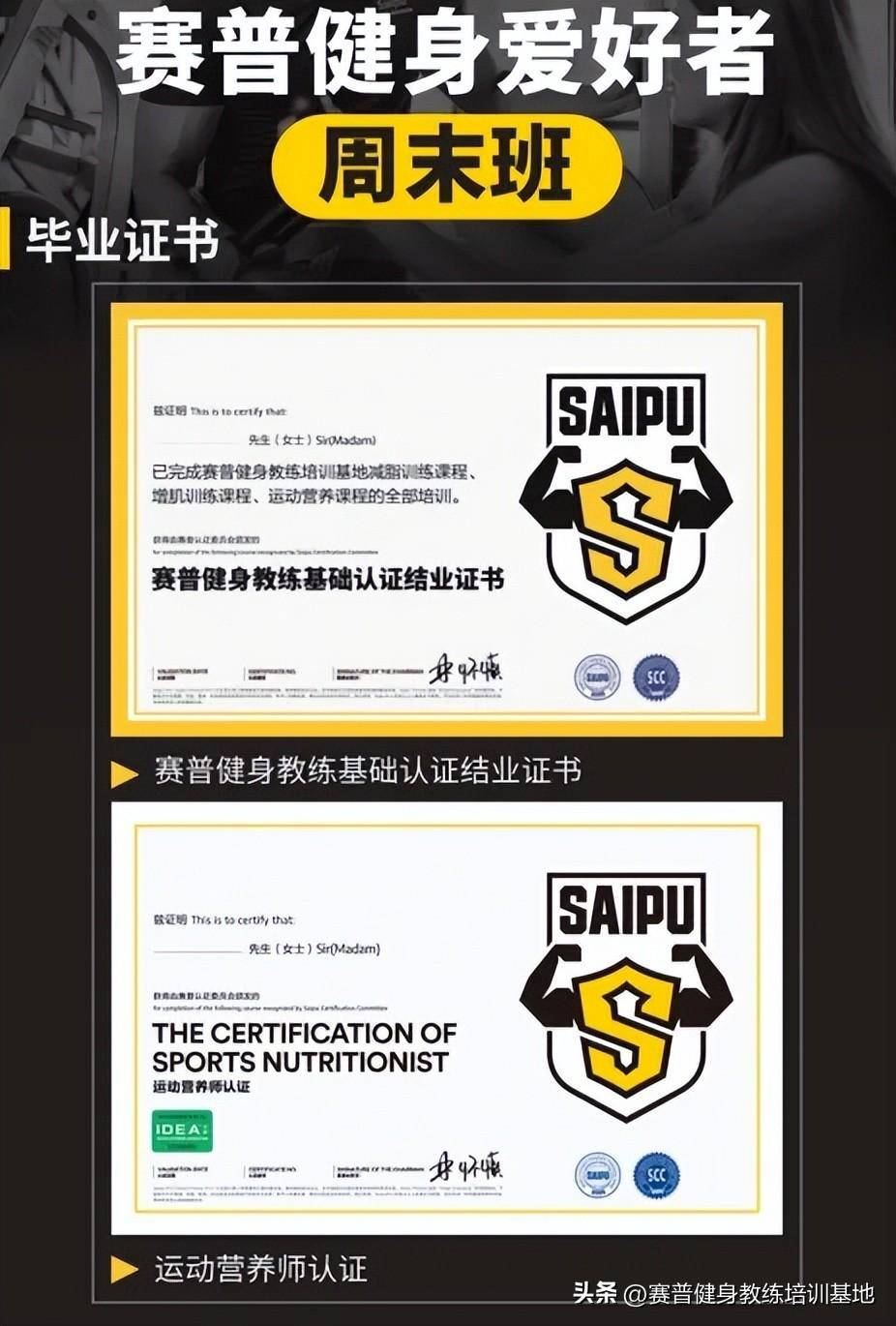 赛普健身学院证书种类详解，赛普健身学院证书种类全面解析