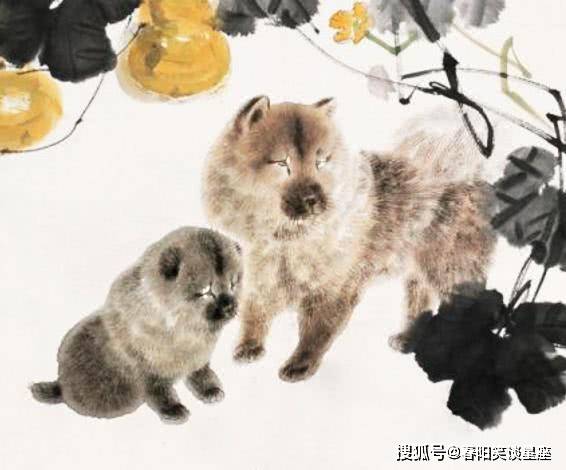 澳门今晚必开一肖与狗的神秘缘分，澳门今晚生肖与狗的神秘缘分揭晓