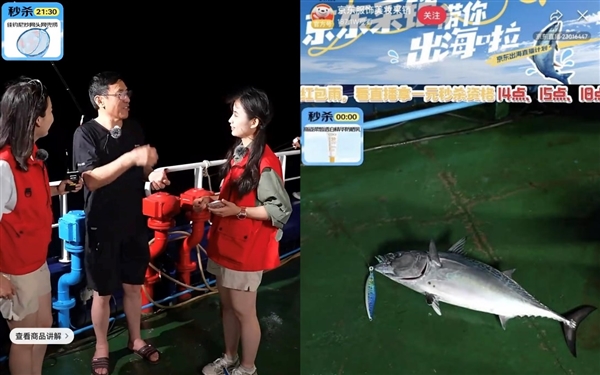 大鱼直播，探索新时代的直播生态，大鱼直播，探索新时代直播生态新纪元